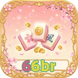 66br