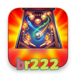 br222